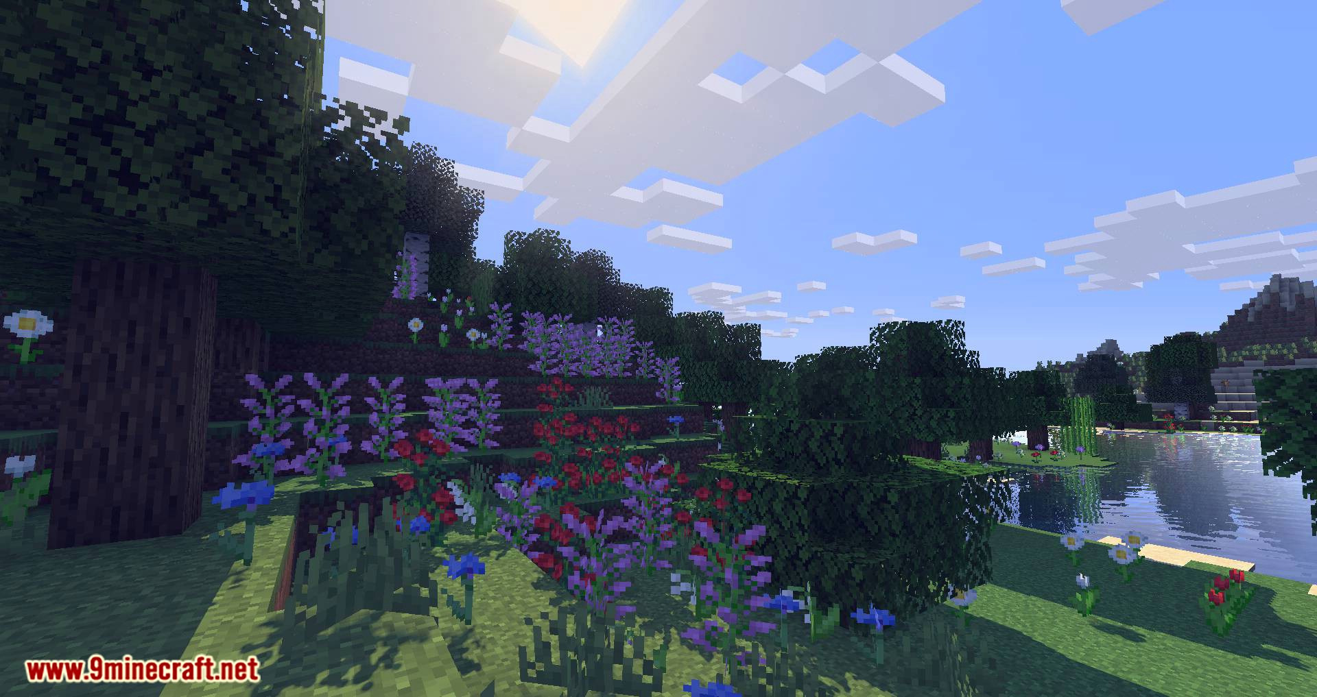 minecraft realistic shader plus texture pack