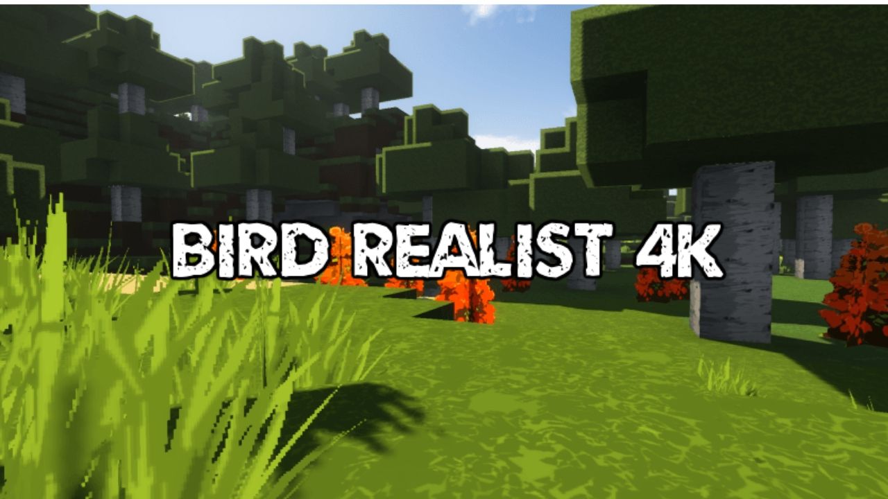 Bird-Realist-Resource-Pack-1